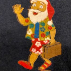 - DENIUM & FLOWER RICKY SINGH CHRISTMAS HOODIE Large